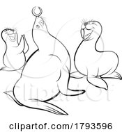 Cartoon Black And White Sea Lion Pups Watching Their Mamma Play With A Tennis Ball