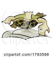 Cartoon Tortoise On Its Back