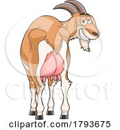 Poster, Art Print Of Cartoon Goat With Swollen Udders