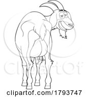 Cartoon Black And White Goat With Swollen Udders