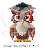 Wise Old Owl Bird Cartoon Graduation Professor