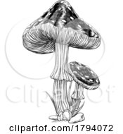 Poster, Art Print Of Mushrooms Toadstools Vintage Engraved Woodcut
