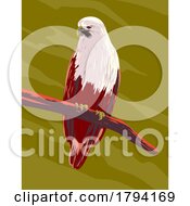 Poster, Art Print Of Brahminy Kite Haliastur Indus Or Red Backed Sea Eagle Perching On Branch Front View Wpa Art