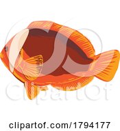 Poster, Art Print Of Red Anemonefish Or Australian Clownfish In Oslob Cebu Philippines Wpa Art Deco
