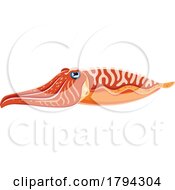 Cuttlefish by Vector Tradition SM