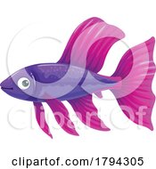 Poster, Art Print Of Guppy Fish