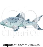 Poster, Art Print Of Cat Fish