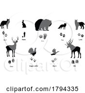 Poster, Art Print Of Silhouetted Animals And Tracks