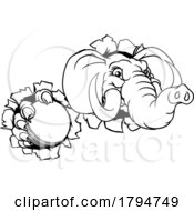 08/02/2023 - Elephant Cricket Ball Sports Animal Mascot