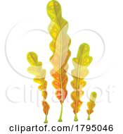 Kelp Seaweed by Vector Tradition SM