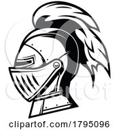 Helmet by Vector Tradition SM