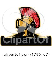 Spartan Helmet by Vector Tradition SM