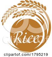 Rice Design