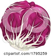 Poster, Art Print Of Red Cabbage