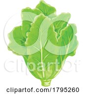 Poster, Art Print Of Lettuce