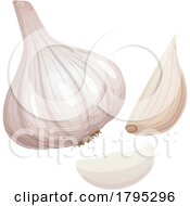 Garlic by Vector Tradition SM