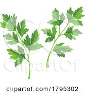 Parsley Leaves by Vector Tradition SM