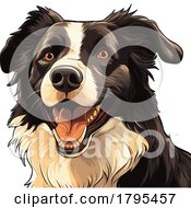 Border Collie by stockillustrations
