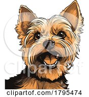 Yorkshire Terrier by stockillustrations