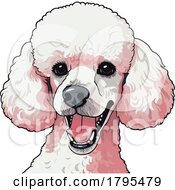 Poster, Art Print Of Poodle