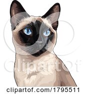 Poster, Art Print Of Siamese Cat