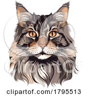 Poster, Art Print Of Maine Coon