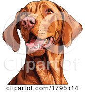 Vizsla Dog by stockillustrations #COLLC1795514-0101