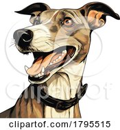 Whippet by stockillustrations #COLLC1795515-0101