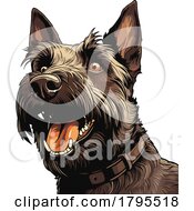 Poster, Art Print Of Scottish Terrier