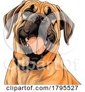 Poster, Art Print Of English Mastiff