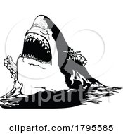 Poster, Art Print Of Great White Shark Biting