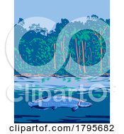 Arapaima In The Amazon River Or RO Amazonas In South America WPA Art Deco Poster