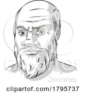 08/09/2023 - Socrates Greek Philosopher Hand Drawn Line Art Portrait Illustration