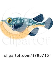 Poster, Art Print Of Puffer Fish
