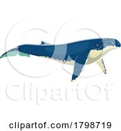 Humpback Whale by Vector Tradition SM