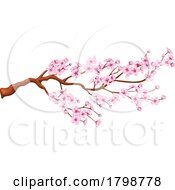 Poster, Art Print Of Cherry Blossoms