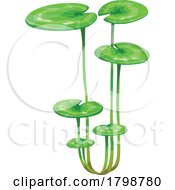 Poster, Art Print Of Lily Pads