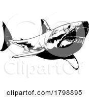 Poster, Art Print Of Bw Great White Shark