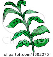 Cartoon Clipart Vine Leaves