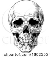 Poster, Art Print Of Human Skull Woodcut Intaglio Illustration
