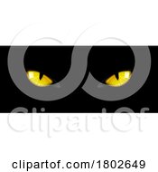 Poster, Art Print Of Black Cat Eyes
