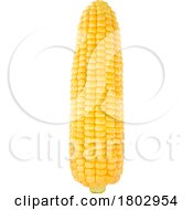 Poster, Art Print Of Corn On The Cob