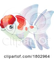 Poster, Art Print Of White Crown Pearscale Fish