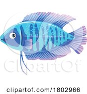 Poster, Art Print Of Gourami Fish