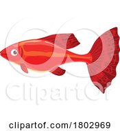 Poster, Art Print Of Red Fish