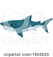 Megalodon Shark Dinosaur