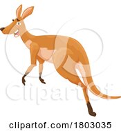 Poster, Art Print Of Kangaroo