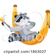 Poster, Art Print Of Raccoon In A Hammock