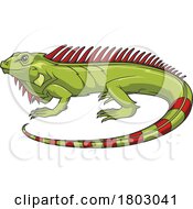 Poster, Art Print Of Iguana Lizard