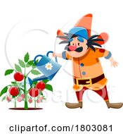 Poster, Art Print Of Gnome Gardener Watering Tomatoes
